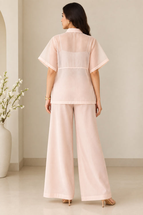 Blush Floral Organza Co-Ord Set