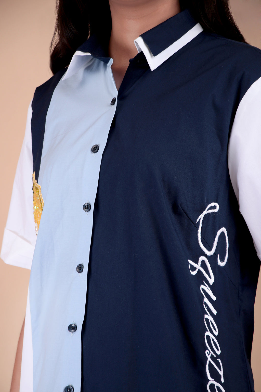 Navy & White Panel Cotton Poplin Dress