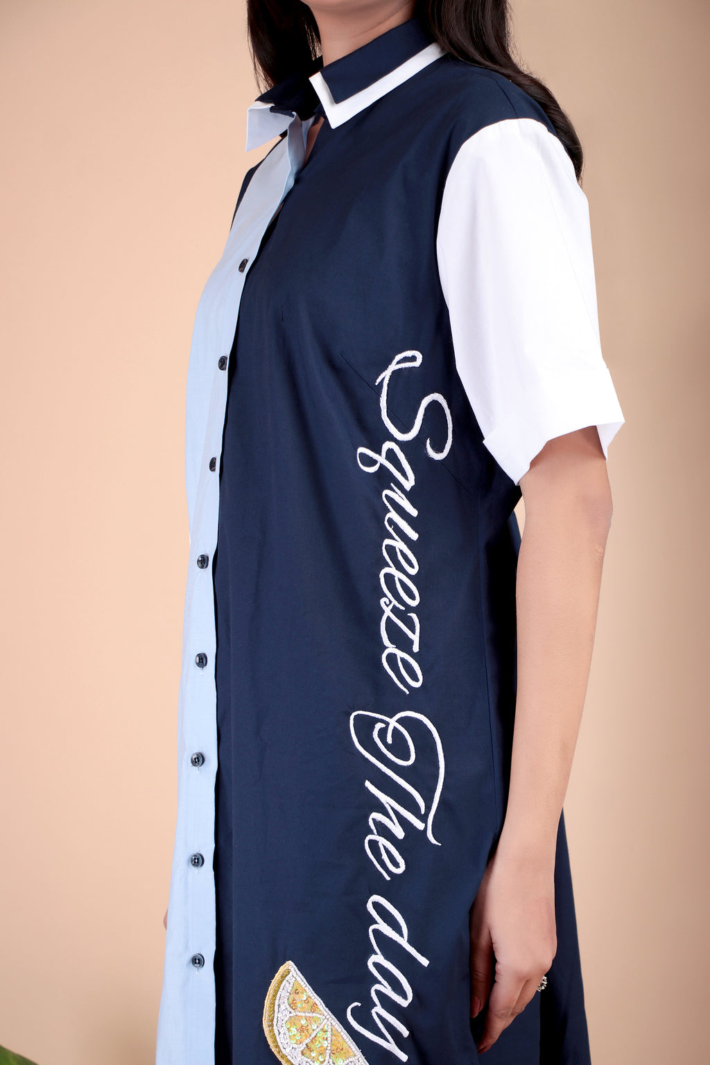 Navy & White Panel Cotton Poplin Dress