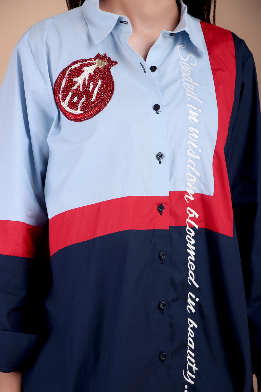 Sky Blue, Navy & Red Cotton Poplin Shirt